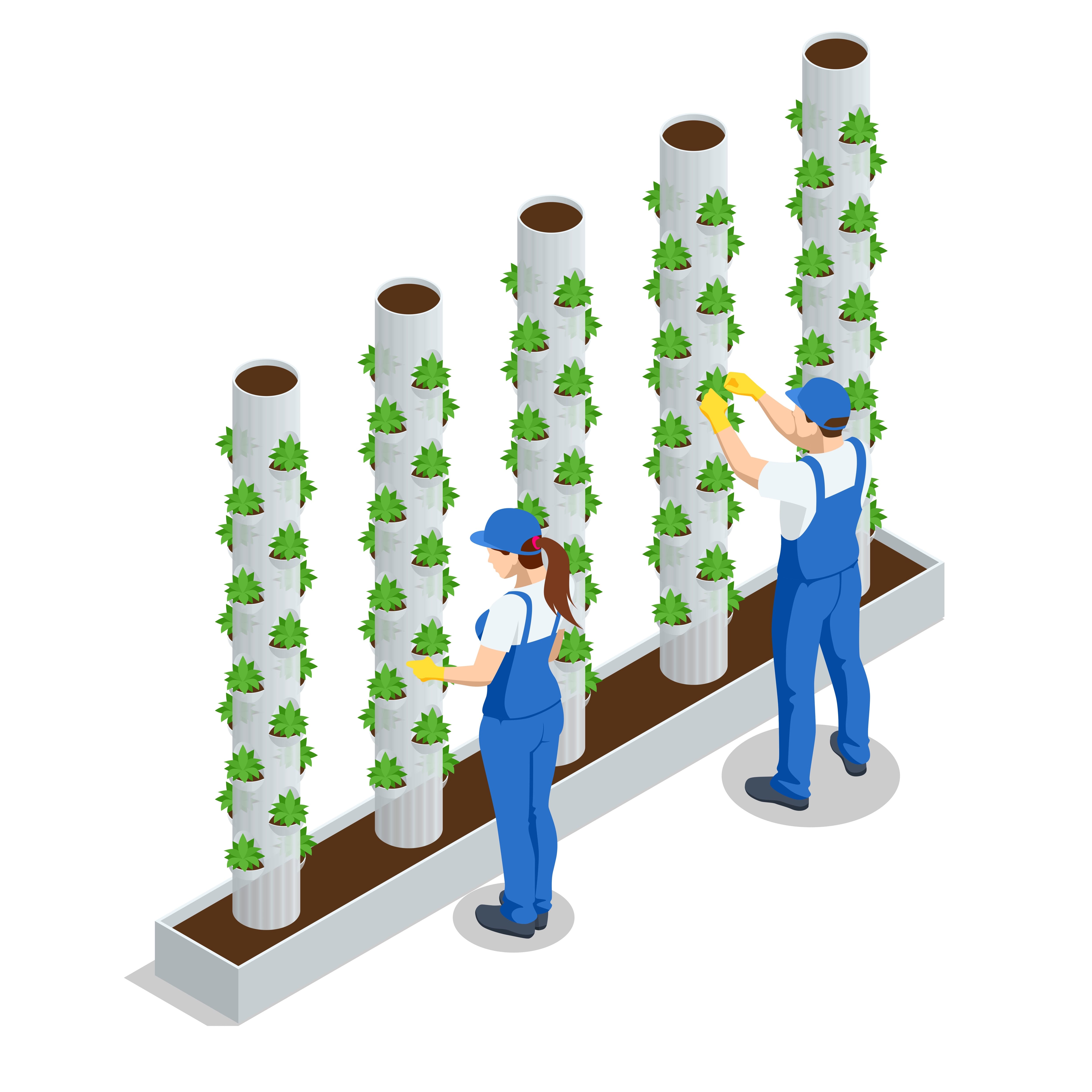 Isometric illustration of workers tending vertical hydroponic tower gardens in a controlled environment